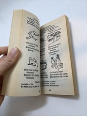 See It and Say It in Italian by Margarita Madrigal and Giuseppina Salvadori