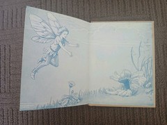 Flower Fairies Of The Summer by Cicely Mary Barker HB Tiny Tots Series. Vtg 20s