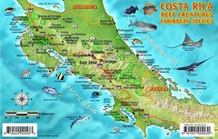 Costa Rica Dive Map & Caribbean Reef Creatures Waterproof Fish Card Franko Maps
