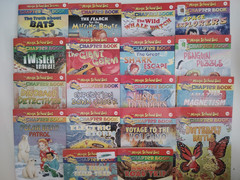 Magic School Bus Chapter Books Lot Set 18 (#1-16, 18, 20) by Joanna Cole