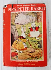 Mrs. Peter Rabbit Green Meadow Series Thornton W. Burgess 1919 HCDJ Illustrated!
