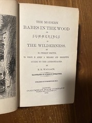 1872 Modern Babes In The Wood; Summering In The Wilderness; Adirondacks; As Is