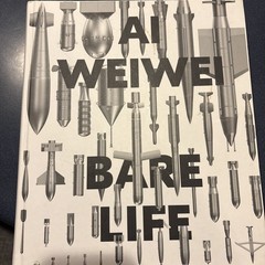 Ai Weiwei. 40th Ed. – Hardcover, by Holzwarth Hans Werner – Very Good Book EUC