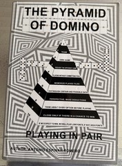 THE PYRAMID OF DOMINO: PLAYING IN PAIR Book