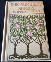 Antique Forestry Tree Identification Botany Nature Study 4 Book Lot 1919-1925