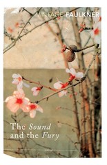Sound and the fury, the (vintage classics)