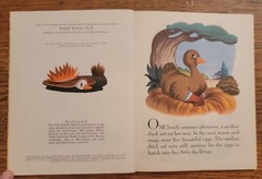 Disney’s The Ugly Duckling 2 Little Golden Books #D22 “A” + “B” 1952