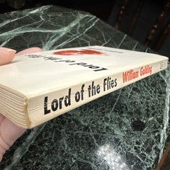 LORD OF THE FLIES Twenty-second Impression Vintage Book 1959 Nice!