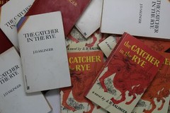 Guided Reading lot of 10 The Catcher in the Rye J.D. Salinger Mass Market Books