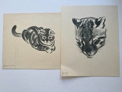 CATS ~ A PORTFOLIO ~ Clare Turlay Newberry ~ 1943 vintage prints x 16