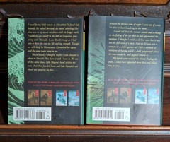 Tales Of The Otori: Brilliance of the Moon Episode 1 & 2 PB Books Set Lian Hearn