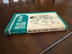 BLUE-BLOOD STUD by John Dick HIS69211 Gay Pulp Paperback 1977, Very Good