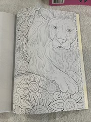 New kaleidoscope Coloring Books For Adults/Kids Lot of 6 Wolves/Cats MSRP 9.99ea