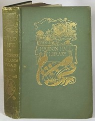 1899 WILD LIFE IN HAMPSHIRE HIGHLANDS Natural History Book DEWAR Arthur Rackham
