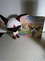Skippyjon Jones Class Action Kohls Cares (Skippyjon Jones) – Hardcover – GOOD