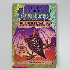 R. L. Stine Goosebumps (Give Yourself, Series 2000) Choose Build PICK YOUR OWN