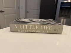 Little Life by Hanya Yanagihara (2016, Trade Paperback)