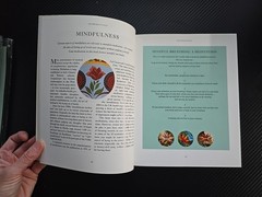 Healing Body Meditations 30 Color Mandalas Paperback 160 Pages Natural Healing