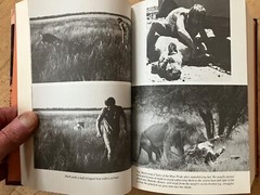 Delia Owens In Africa A Life In The Wild: By Mark Owens & Delia Owens 2019 B&N