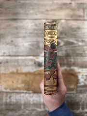 c. 1885 Antique Poetry “The Poetical Works of Geoffrey Chaucer” ~Binding~