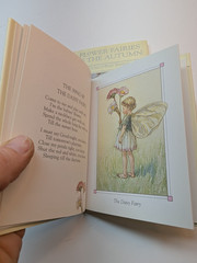 LOT OF 2 Flower Fairies of the Autumn & Spring by Cicely Mary Barker Paperback