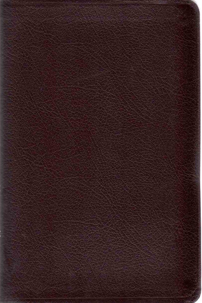 Thinline Bible: New International Version – Zondervan – Good – See condition…