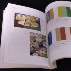 A Dictionary of Color Combinations Vol.2 Advanced Ed. Japanese Creative Colors