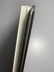 WILLIAM WEGMAN Lot of 2 First Edition Hardcovers: “CINDERELLA” & “PUPPIES”