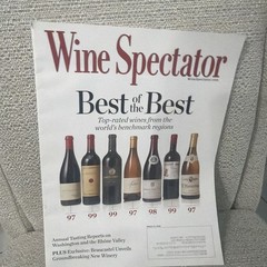 Wine Spectator Magazine March,31 2025 Best of the Best Top Rated Wines