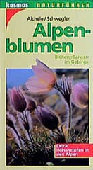 Alpenblumen. Blütenpflanzen im Gebirge. Extra: Höhenstufen in den Alpen Die