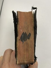 Vintage 1900’s Sunday School Scholar’s Bible – Thomas Nelson & Sons