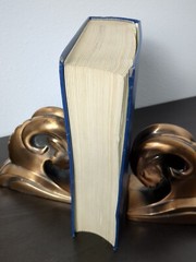 Black’s Law Dictionary, by Henry Campbell Black, Fifth Edition