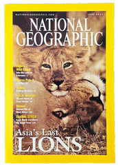 ASIA’S LAST LIONS POACHING STORIES JUNE 2001 NATIONAL GEOGRAPHIC MAGAZINE LOT