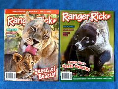 Lot Of 33 National Geographic Kids, Ranger Rick, RR Jr Magazines 2019-2025