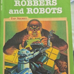 Endless Quest Robbers and Robots Paperback by Mike Carr – Adventure Spies