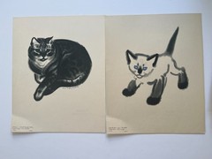 CATS ~ A PORTFOLIO ~ Clare Turlay Newberry ~ 1943 vintage prints x 16