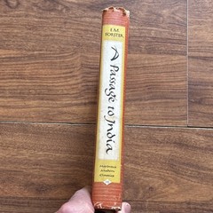 A Passage to India by E. M. Forster 1952 Vintage Hardcover w/ Dust Jacket Book