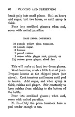 1919 A Manual Of Canning And Preserving Book 106 Pages