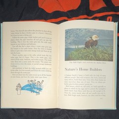 Nelson Doubleday Pinocchio: A Tale of a Puppet Carlo Collodi HC Illus 1960