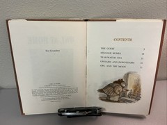 RARE/VINTAGE 1st Edition “Owl At Home” Arnold Lobel I Can Read Book (1975) HC/DJ