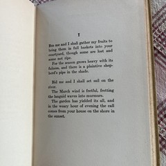 Fruit Gathering By Rabindranath Tagore 1916 1st Edition Bolpur Edition Vintage