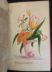 THE LADIES WREATH Antique Victorian Gift Book COLOR PLATES Fine Leather Binding