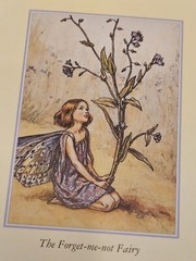 Flower Fairies Photo Album Cicely Mary Barker The Seasons Hardback Book