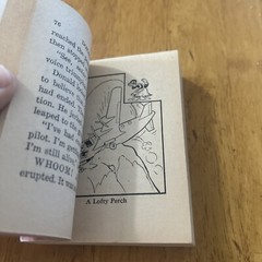 Walt Disney’s Donald Duck in Volcano Valley Big Little Book & Luck Of The Duck