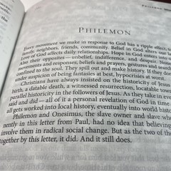The Message Bible Eugene Peterson Apress Brown Leather Large Print Numbered USA
