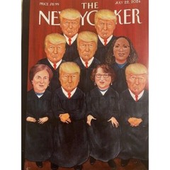 DONALD TRUMP the new yorker MAGA plan for 2025 VIRGINIA WOOLF clairo BOT THERAPY
