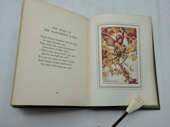 THE BOOK of THE FLOWER FAIRIES by Cicely Mary Barker – Very Clean Volume c1927