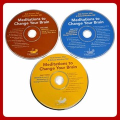 Rick Hanson Meditations To Change Your Brain 3CD Sounds True Audiobook Set EUC