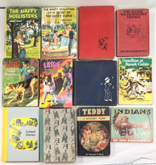 Lot of 12 Boys/Childrens Books: Vintage HCs and softcovers, Happy Hollisters etc