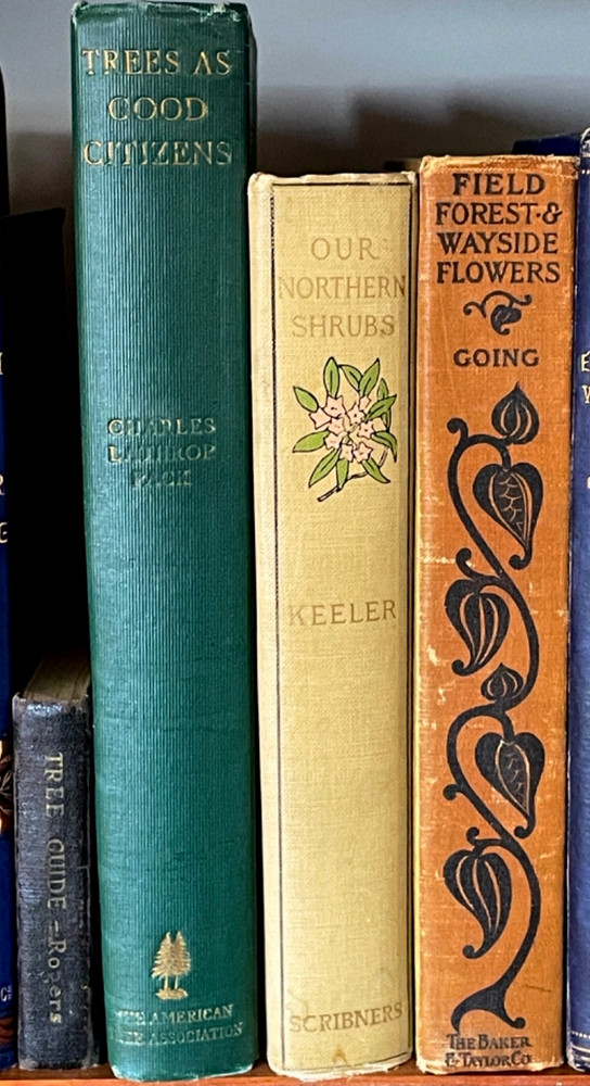 Antique Forestry Tree Identification Botany Nature Study 4 Book Lot 1919-1925